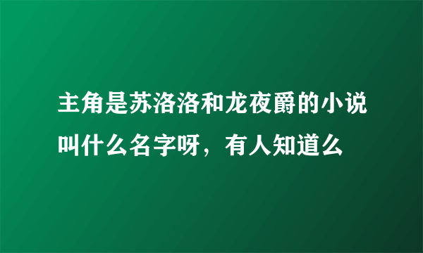 主角是苏洛洛和龙夜爵的小说叫什么名字呀，有人知道么