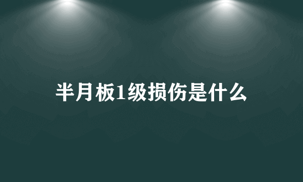 半月板1级损伤是什么