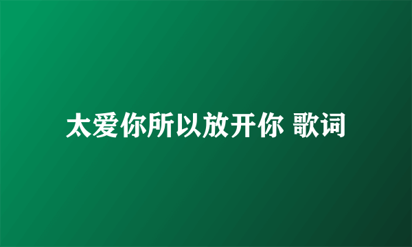 太爱你所以放开你 歌词