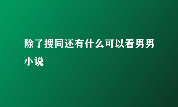 除了搜同还有什么可以看男男小说