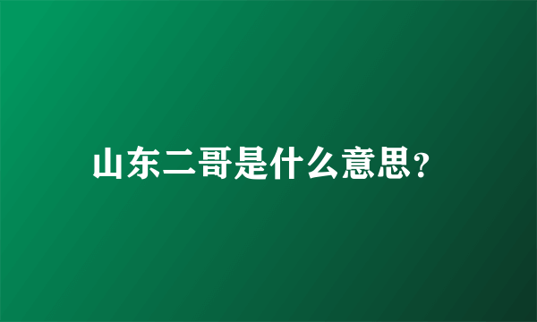 山东二哥是什么意思？