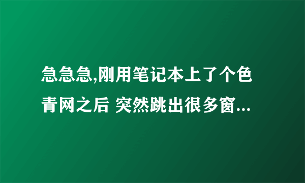 急急急,刚用笔记本上了个色青网之后 突然跳出很多窗口然后电脑死机,按了重启之后就变黑屏,完全开不了机