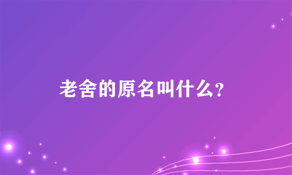 老舍的原名叫什么？