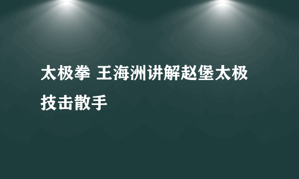 太极拳 王海洲讲解赵堡太极技击散手