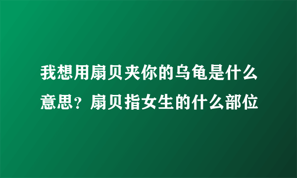 我想用扇贝夹你的乌龟是什么意思？扇贝指女生的什么部位