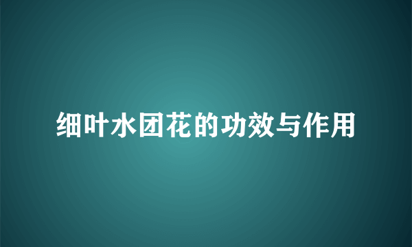 细叶水团花的功效与作用