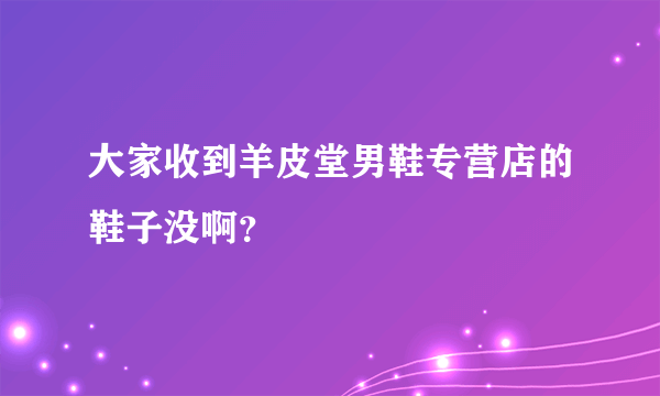 大家收到羊皮堂男鞋专营店的鞋子没啊？