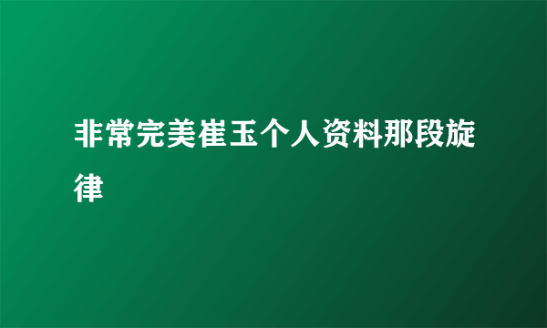 非常完美崔玉个人资料那段旋律