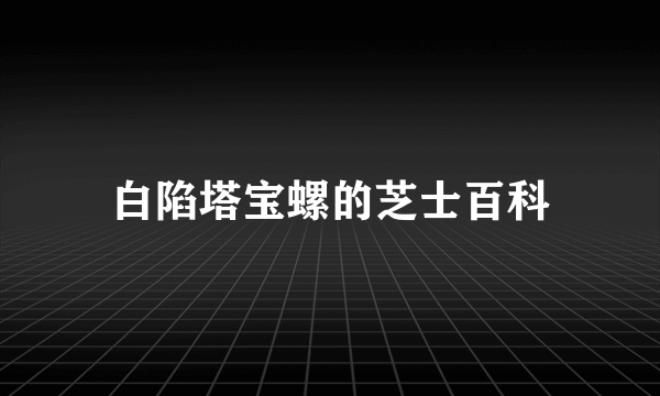 白陷塔宝螺的芝士百科