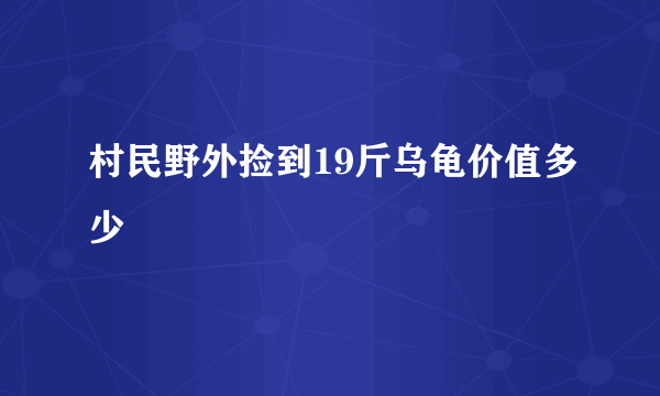 村民野外捡到19斤乌龟价值多少