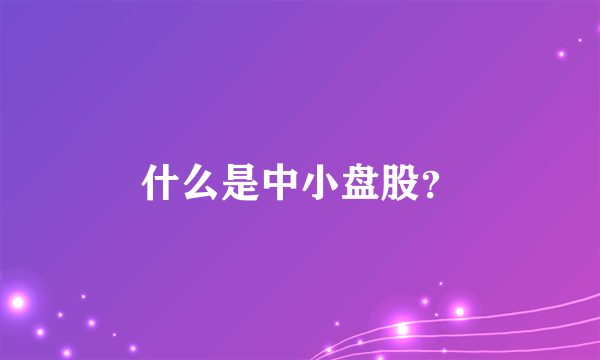 什么是中小盘股？