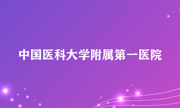 中国医科大学附属第一医院