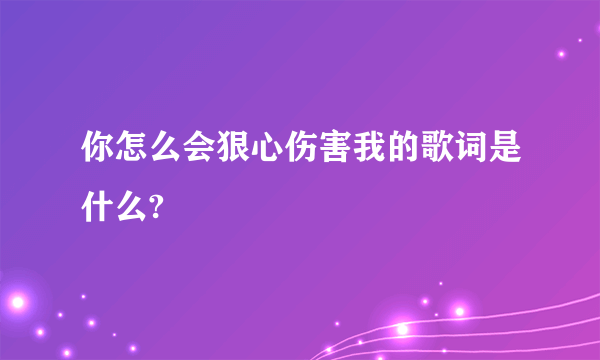 你怎么会狠心伤害我的歌词是什么?