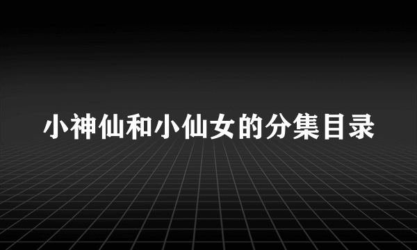 小神仙和小仙女的分集目录