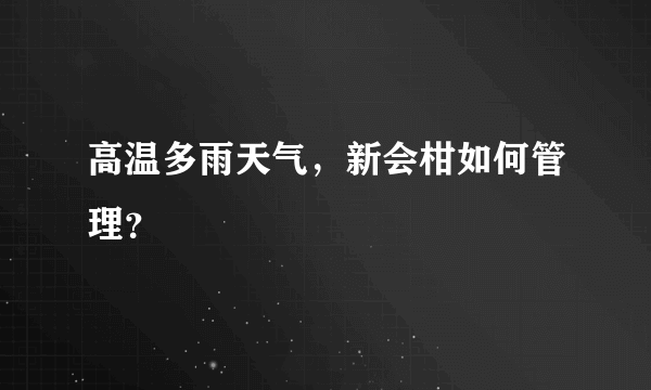 高温多雨天气，新会柑如何管理？