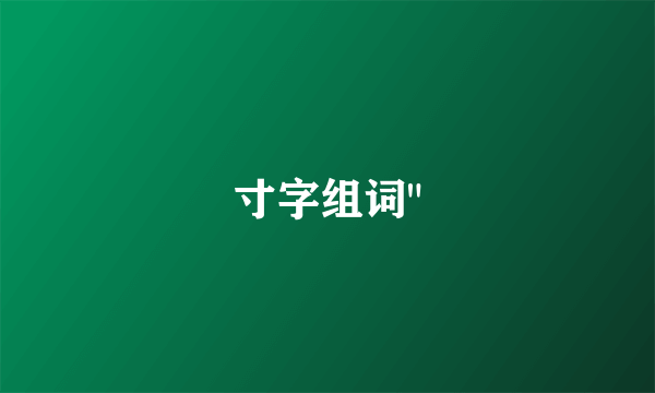 寸字组词