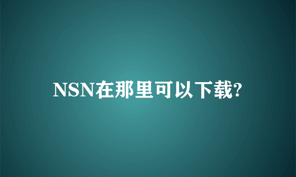 NSN在那里可以下载?