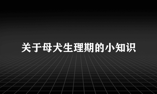 关于母犬生理期的小知识