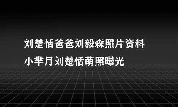 刘楚恬爸爸刘毅森照片资料 小芈月刘楚恬萌照曝光