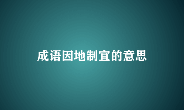 成语因地制宜的意思