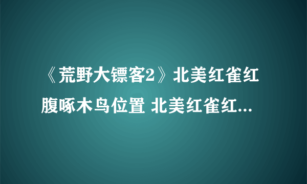 《荒野大镖客2》北美红雀红腹啄木鸟位置 北美红雀红腹啄木鸟猎杀位置