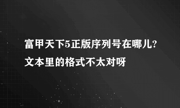 富甲天下5正版序列号在哪儿?文本里的格式不太对呀