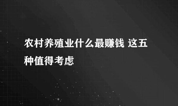 农村养殖业什么最赚钱 这五种值得考虑