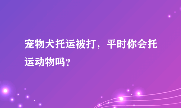 宠物犬托运被打，平时你会托运动物吗？