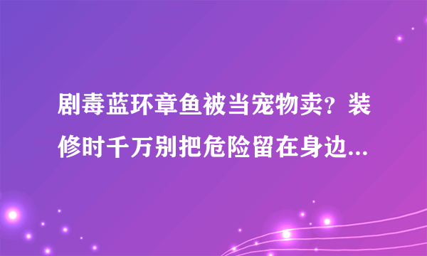 剧毒蓝环章鱼被当宠物卖？装修时千万别把危险留在身边_飞外网