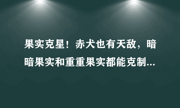 果实克星！赤犬也有天敌，暗暗果实和重重果实都能克制岩浆果实