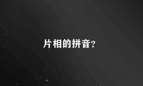 片相的拼音？