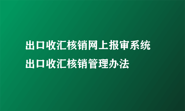 出口收汇核销网上报审系统 出口收汇核销管理办法