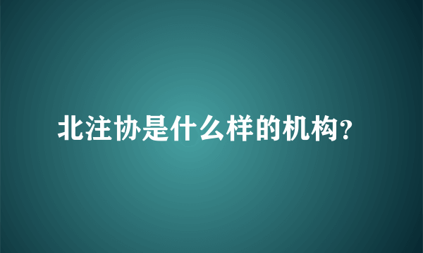 北注协是什么样的机构？