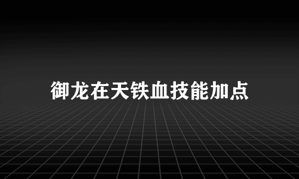 御龙在天铁血技能加点