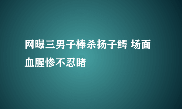 网曝三男子棒杀扬子鳄 场面血腥惨不忍睹