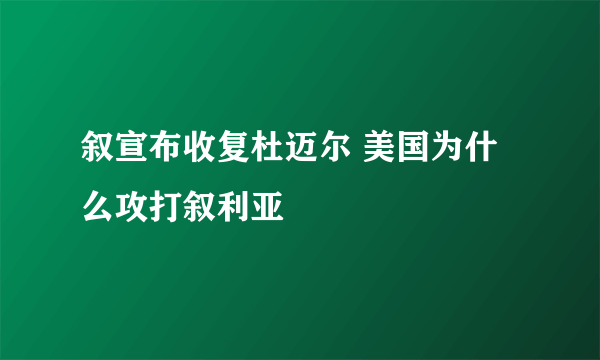 叙宣布收复杜迈尔 美国为什么攻打叙利亚