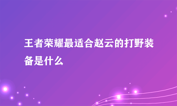 王者荣耀最适合赵云的打野装备是什么