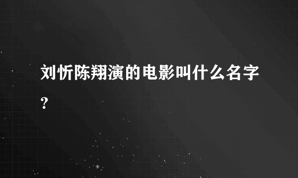 刘忻陈翔演的电影叫什么名字？