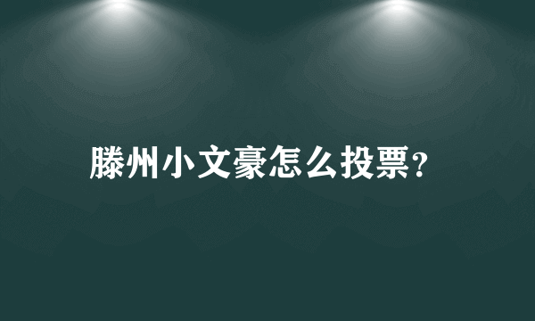 滕州小文豪怎么投票？