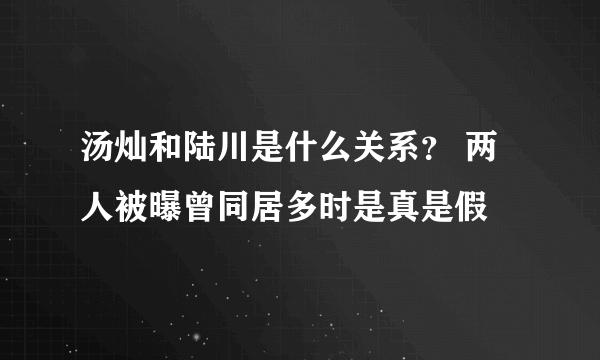 汤灿和陆川是什么关系？ 两人被曝曾同居多时是真是假