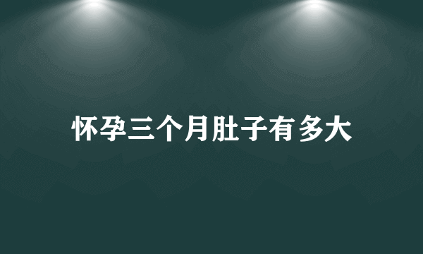 怀孕三个月肚子有多大