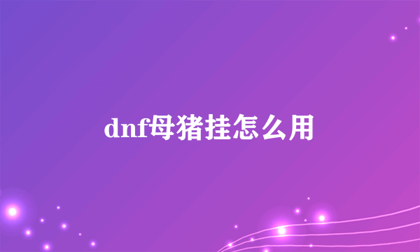 dnf母猪挂怎么用