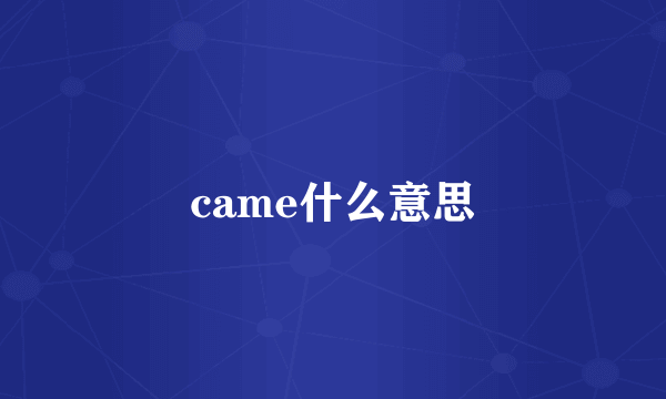 came什么意思