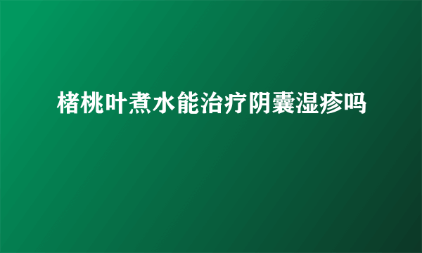 楮桃叶煮水能治疗阴囊湿疹吗