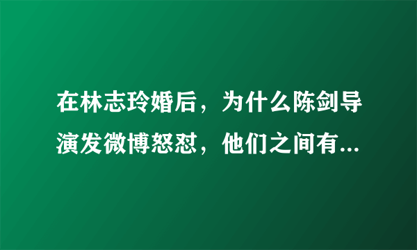 在林志玲婚后，为什么陈剑导演发微博怒怼，他们之间有什么恩怨？