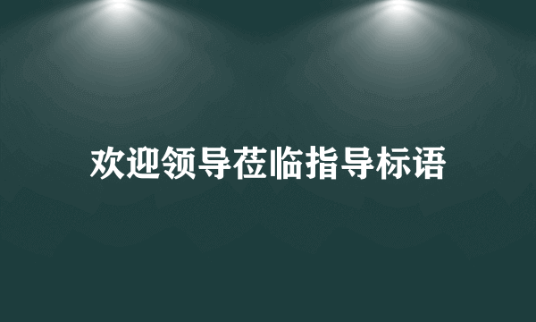 欢迎领导莅临指导标语