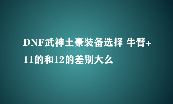 DNF武神土豪装备选择 牛臂+11的和12的差别大么