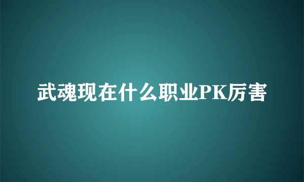 武魂现在什么职业PK厉害