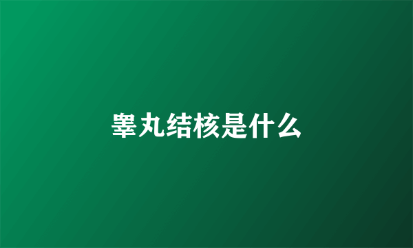 睾丸结核是什么