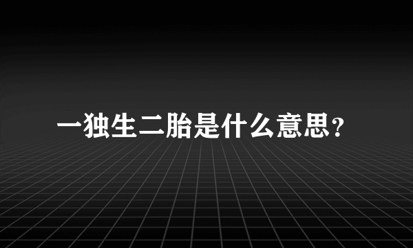 一独生二胎是什么意思？